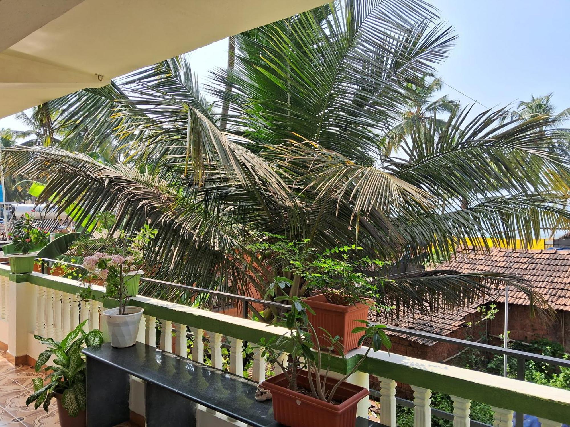 Cupid'S Heaven Resort Agonda Room photo